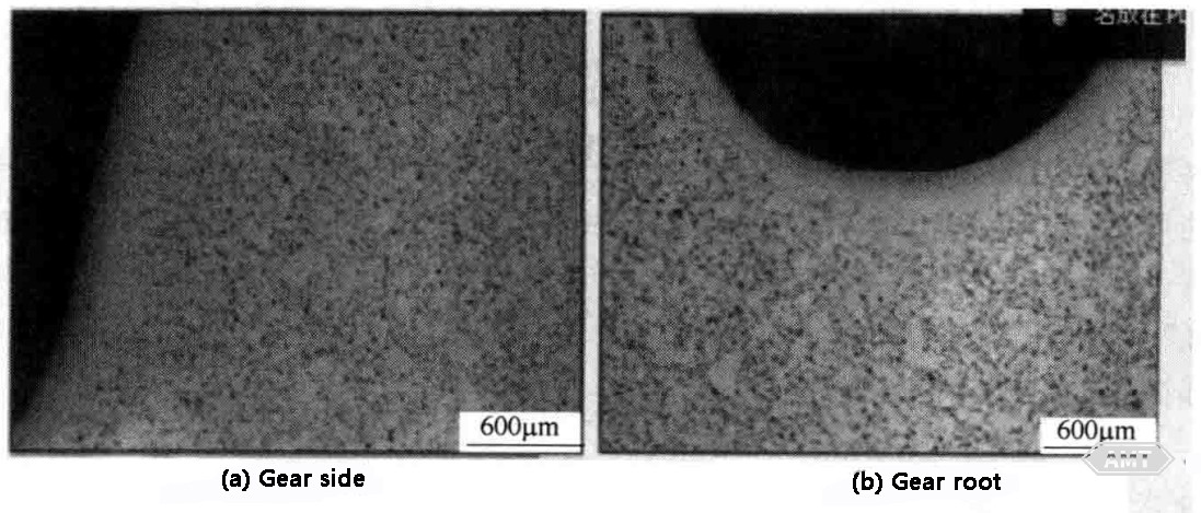 4-27 Typical micrograph of gear surface processed by DensiForm process.jpg