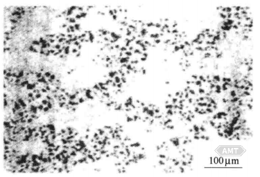 9-13 Optical microstructure photo of sintered alloy.png