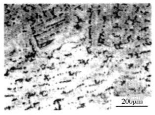 10-3 Microstructure of investment-cast Co-Cr alloy.png