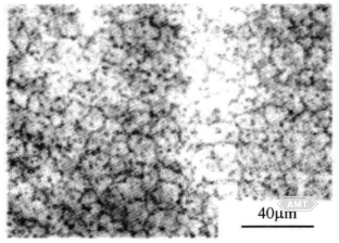 10-4 Typical microstructure of a cobalt-chromium-molybdenum alloy produced by hot isostatic pressing.png