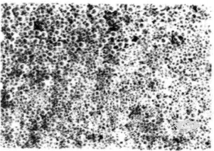 10-6 SEM micrograph of a cobalt-chromium-molybdenum alloy produced from powder manufactured by the plasma rotating electrode process(20×).png