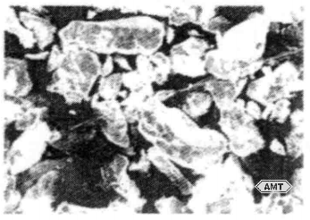 10-12 SEM micrograph (250×) of lathe-cut dental amalgam powder.png