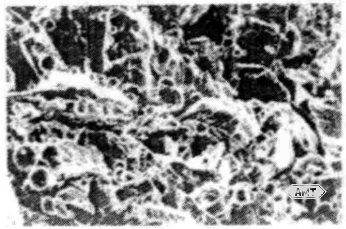10-14 SEM micrograph (250×) of a blended mixture of lathe-cut and atomized amalgam powders.png